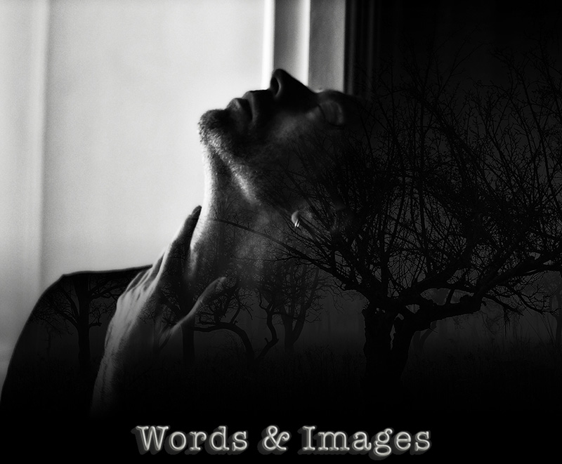 Peter X. Eriksson - Words & Images