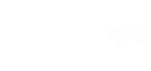 Turtle Bite Books